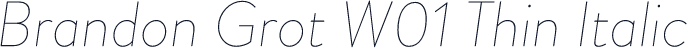 Brandon Grot W01 Thin Italic
