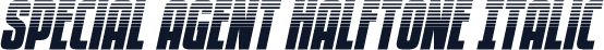 Special Agent Halftone Italic