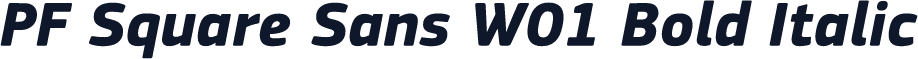 PF Square Sans W01 Bold Italic