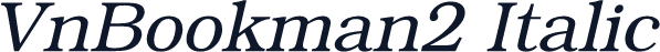 VnBookman2 Italic