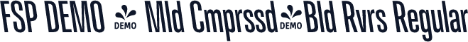 FSP DEMO - Mld Cmprssd-Bld Rvrs Regular