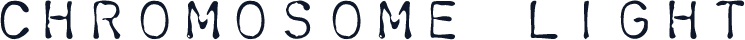 Chromosome Light