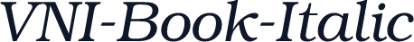 VNI-Book-Italic