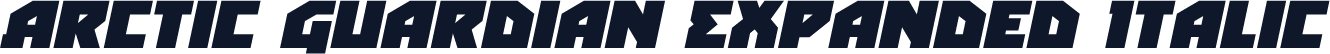 Arctic Guardian Expanded Italic