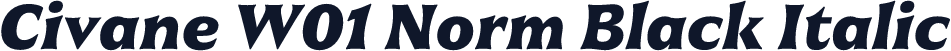Civane W01 Norm Black Italic
