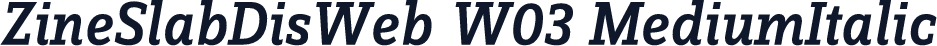ZineSlabDisWeb W03 MediumItalic