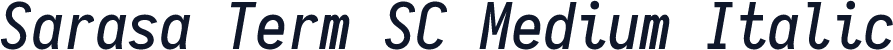 Sarasa Term SC Medium Italic