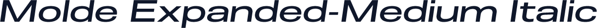 Molde Expanded-Medium Italic
