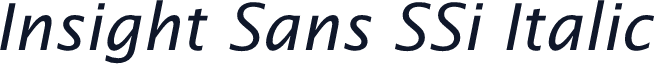 Insight Sans SSi Italic