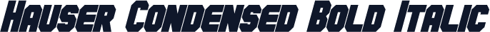 Hauser Condensed Bold Italic