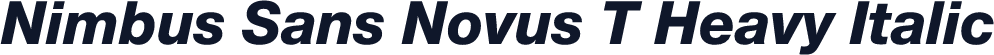 Nimbus Sans Novus T Heavy Italic