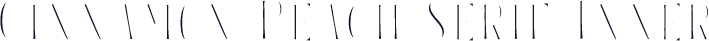 Cinnamon Peach Serif Inner