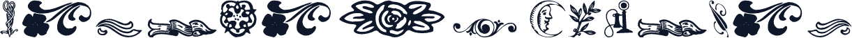 Pasupati Regular