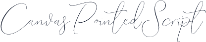 CanvasPointedScript