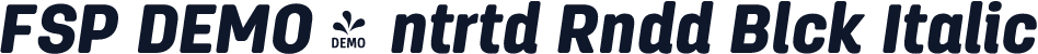 FSP DEMO - ntrtd Rndd Blck Italic