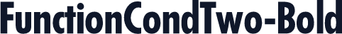 FunctionCondTwo-Bold