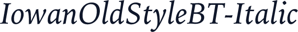 IowanOldStyleBT-Italic