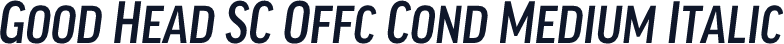 Good Head SC Offc Cond Medium Italic