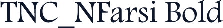 TNC_NFarsi Bold