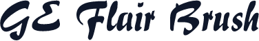 GE Flair Brush