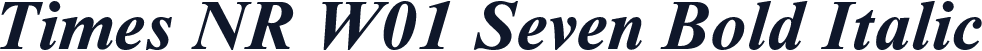 Times NR W01 Seven Bold Italic