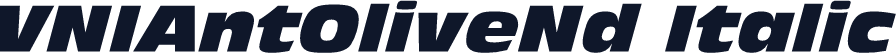 VNIAntOliveNd Italic