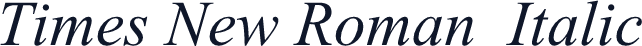 Times New Roman  Italic