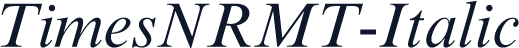 TimesNRMT-Italic