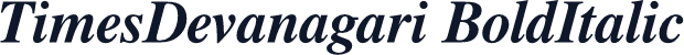 TimesDevanagari BoldItalic