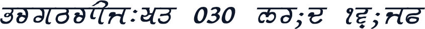 GurmukhiLys 030 Bold Italic