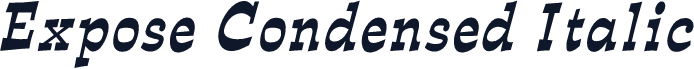 Expose Condensed Italic