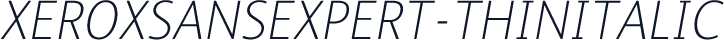XeroxSansExpert-ThinItalic