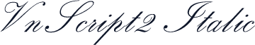 VnScript2 Italic