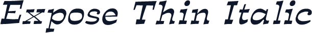 Expose Thin Italic