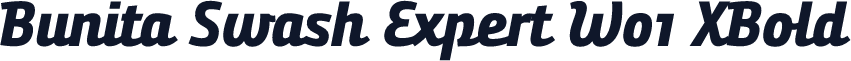 Bunita Swash Expert W01 XBold