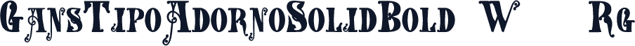 GansTipoAdornoSolidBold W05 Rg