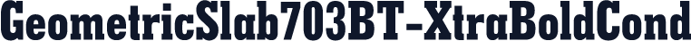 GeometricSlab703BT-XtraBoldCond