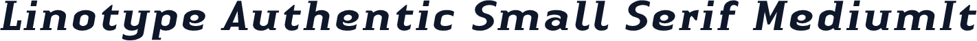 Linotype Authentic Small Serif MediumIt