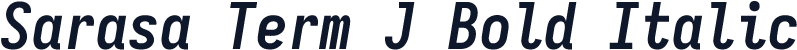 Sarasa Term J Bold Italic