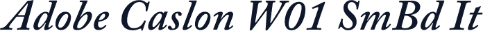 Adobe Caslon W01 SmBd It