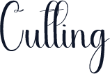Cutting