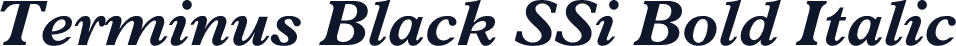 Terminus Black SSi Bold Italic