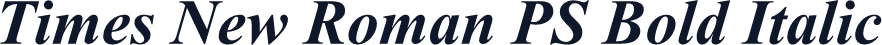 Times New Roman PS Bold Italic