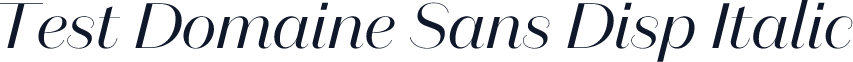 Test Domaine Sans Disp Italic