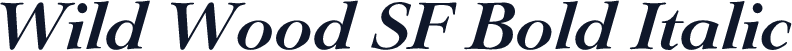 Wild Wood SF Bold Italic