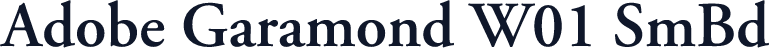 Adobe Garamond W01 SmBd