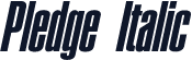 Pledge Italic