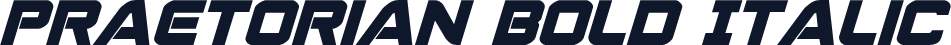 Praetorian Bold Italic