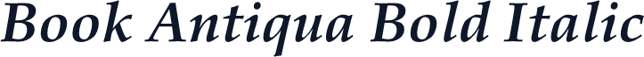 Book Antiqua Bold Italic