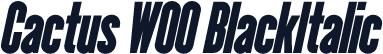 Cactus W00 BlackItalic
